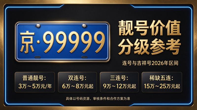 闲置北京租牌照三年价格明细表可视化图表
